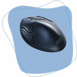 gizmoAni_1018.gif (118616 bytes)